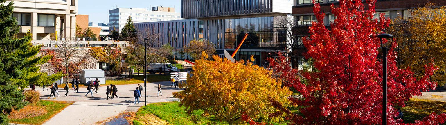 College Campus